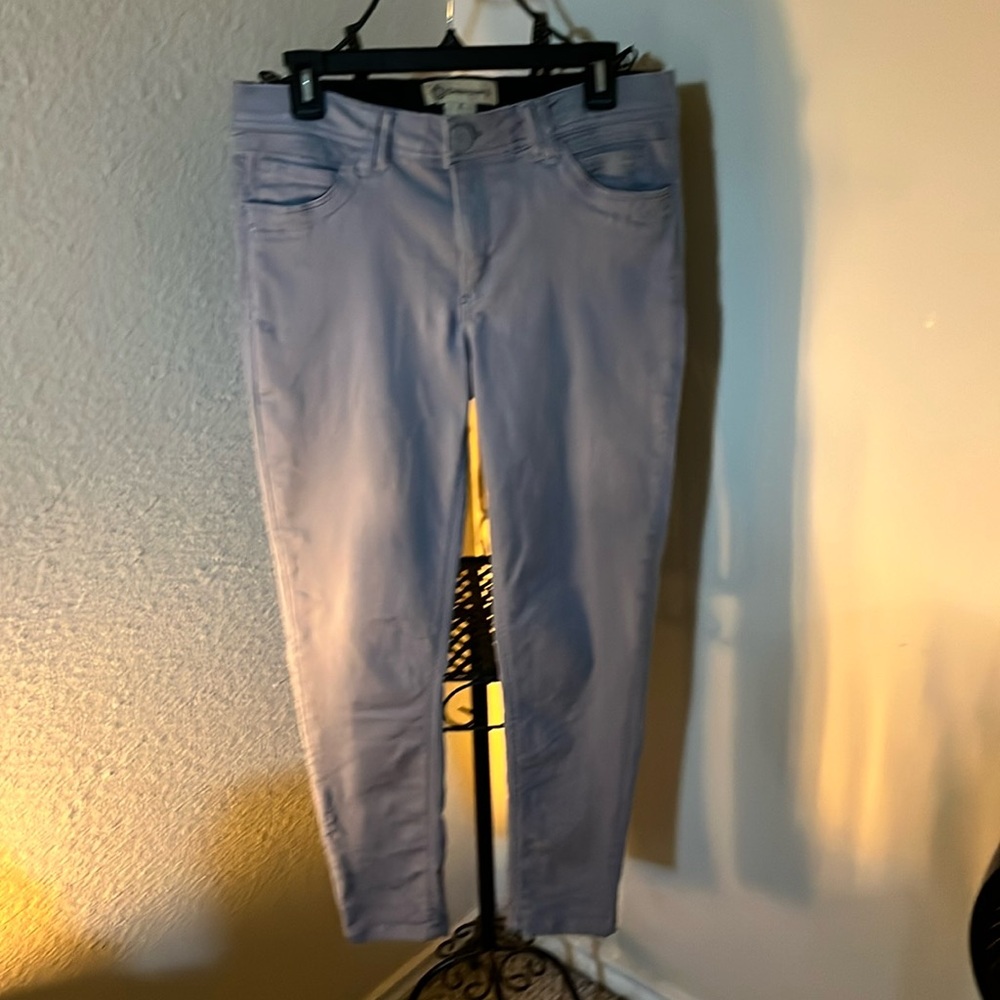 Democrocy-Ab Technology-Gray Ankle Length Jeans-Size-8